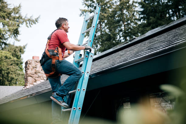 Best Roof Insulation Installation  in Lampasas, TX